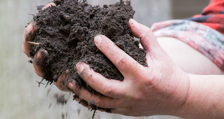 test de la poignée compost