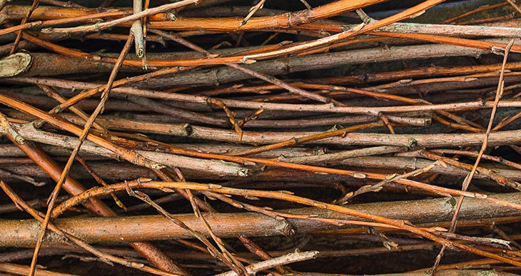 matériaux bruns branchus