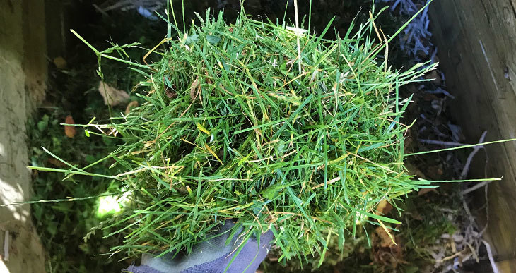 compostage-tontes-gazon peut-on composter les tontes de gazon