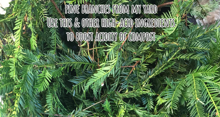 ingrédients compost acide