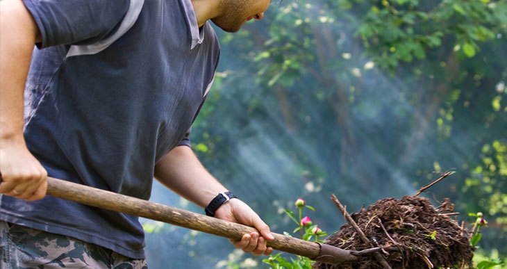 Quelle quantité de compost utiliser ? Le guide de calcul