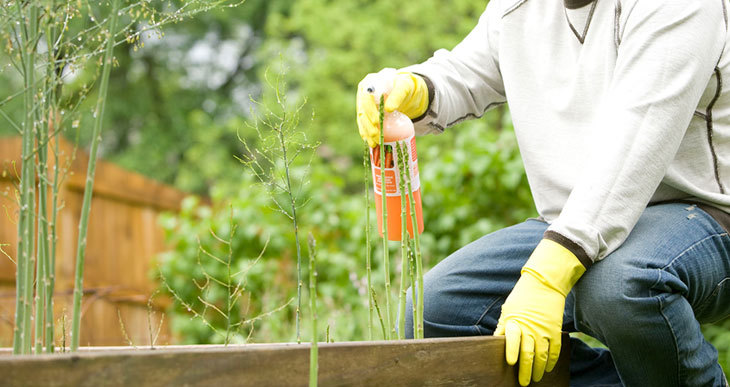 réduire besoin engrais chimiques