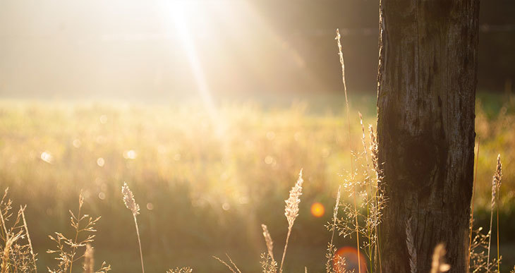 utiliser le soleil pour chauffer un tambour