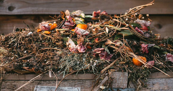 Que Peut-on Composter ? La Liste Ultime